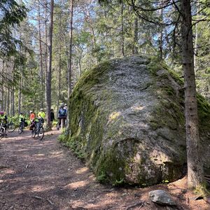 Riding through the forest paths