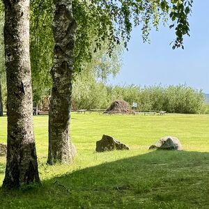Getting ready for midsummer bonfires