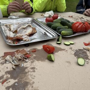 The aftermath of lunch